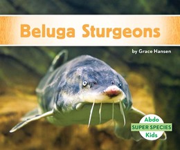 Beluga Sturgeons, ed. , v. 