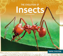 The Evolution of Insects, ed. , v. 