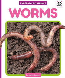 Worms, ed. , v. 