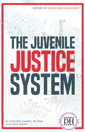 The Juvenile Justice System, ed. , v. 