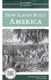 How Slaves Built America, ed. , v. 