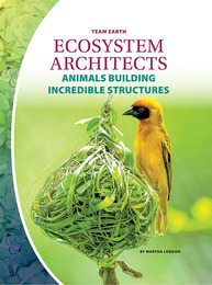 Ecosystem Architects, ed. , v. 