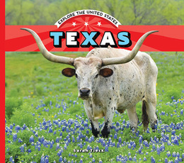 Texas, ed. , v. 