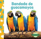 Bandada de guacamayos, ed. , v. 