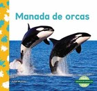 Manada de orcas, ed. , v. 