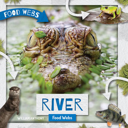 River Food Webs, ed. , v. 