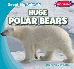 Huge Polar Bears, ed. , v. 