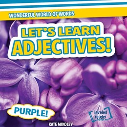 Let's Learn Adjectives!, ed. , v. 