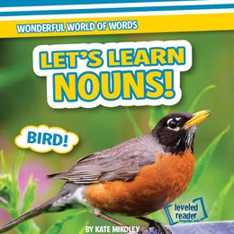 Let's Learn Nouns!, ed. , v. 