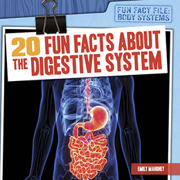 20 Fun Facts About the Digestive System, ed. , v. 