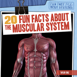 20 Fun Facts About the Muscular System, ed. , v. 