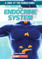 The Endocrine System, ed. , v.  Cover