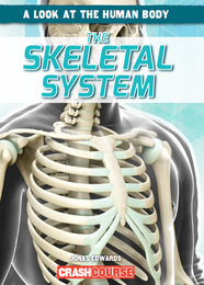 The Skeletal System, ed. , v. 