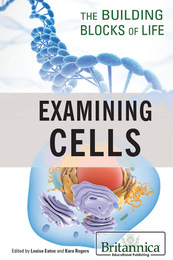 Examining Cells, ed. , v. 