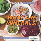 What Are Minerals?, ed. , v.  Cover