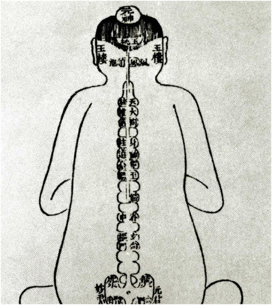 A historical illustration from the Ming dynasty shows acupuncture points. Medical specialists, such as acupuncturists first appeared in imperial China during the Tang dynasty.