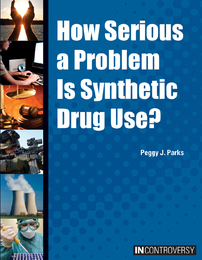 How Serious a Problem Is Synthetic Drug Use?, ed. , v. 