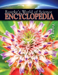 Rourke's World of Science Encyclopedia, ed. 2, v. 3