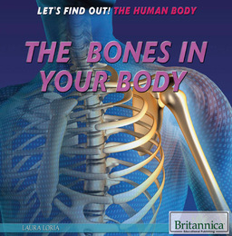 The Bones in Your Body, ed. , v. 