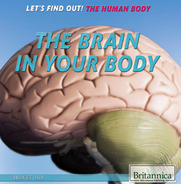 The Brain in Your Body, ed. , v. 