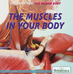 The Muscles in Your Body, ed. , v. 