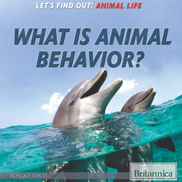 What Is Animal Behavior?, ed. , v. 