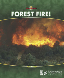 Forest Fire!, ed. , v. 