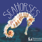 Sea Horses, ed. , v.  Cover