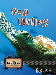 Sea Turtles, ed. , v. 