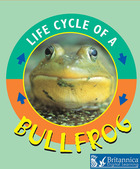 Bullfrog, ed. , v.  Cover