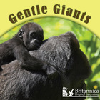 Gentle Giants, ed. , v.  Cover