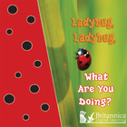 Ladybug, Ladybug, What Are You Doing?, ed. , v.  Cover
