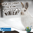 What Do Critters Do in the Winter?, ed. , v.  Cover