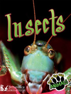 Insects, ed. , v.  Cover