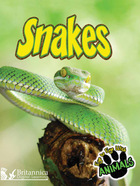 Snakes, ed. , v.  Cover