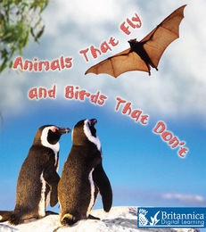 Animals that Fly and Birds that Don't, ed. , v. 
