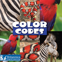 Color Codes, ed. , v. 