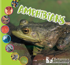 Amphibians, ed. , v.  Cover