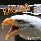 Eagles, ed. , v.  Cover