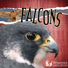 Falcons, ed. , v.  Cover