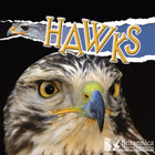 Hawks, ed. , v.  Cover