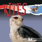 Kites, ed. , v.  Cover