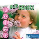 Our Senses, ed. , v.  Cover