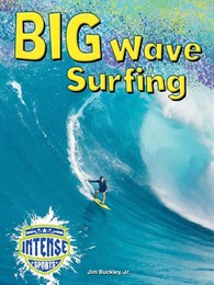 Big Wave Surfing, ed. , v. 