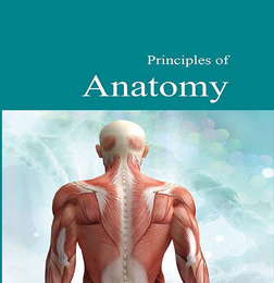 Principles of Anatomy, ed. , v. 