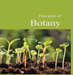 Principles of Botany, ed. , v. 
