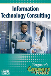 Information Technology Consulting, ed. 2, v. 