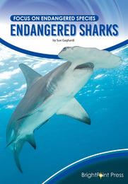 Endangered Sharks, ed. , v. 