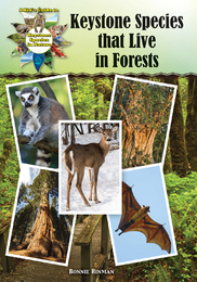 Keystone Species That Live in Forests, ed. , v. 