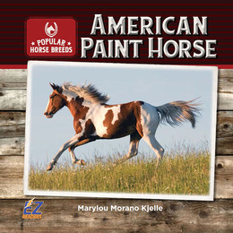 American Paint Horse, ed. , v. 